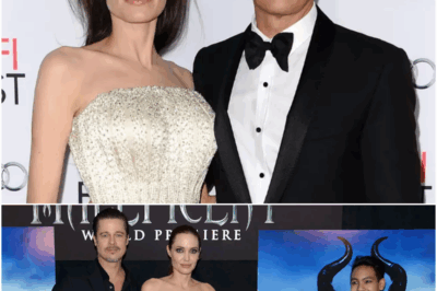 Brad Pitt and Angelina Jolie Reach Divorce Settlement After More Than 8 Years of Intense Legal Fighting