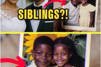 😱💔 The Unbelievable Twist: She Was About to Marry Her Long-Lost Brother — Until One DNA Test Changed Everything!