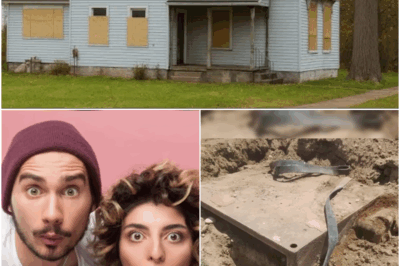 Young Couple Thought They Bought Cheap House Until They Entered Basement