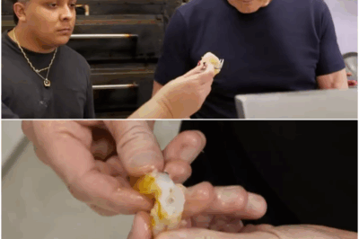 Gordon Ramsay Slams Restaurant Serving Undercooked Shrimp on Kitchen Nightmares: ‘It’s All Dysfunctional’