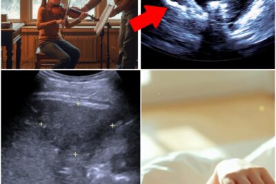 The Hidden Truth Behind a Child’s Silence: What an Ultrasound Revealed