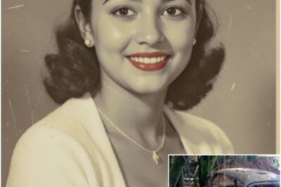 The Shocking Discovery: What Happened to Dorothy Rodriguez?