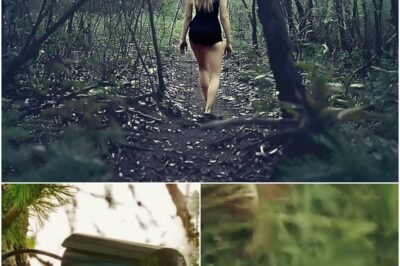 The Shocking Discovery in the Forest: What This Camera Captured Will Leave You Speechless