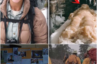 The Chilling Mystery of the Woman Found on a Stone Altar: A Decade of Secrets Unveiled