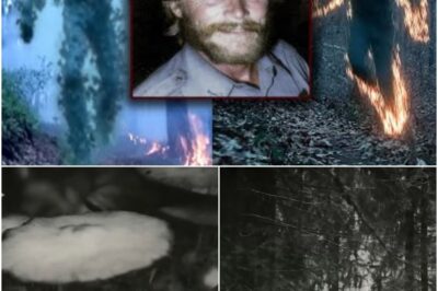 The Haunting Tale of the Park Ranger: Vanished and Found in the Burned Grass