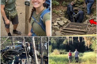 The Mysterious Disappearance: What Happened to the Couple in the Smokies?
