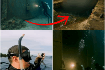 Diver Found Massive Bunker Underwater, Inside Made Navy Arrive in Minutes…