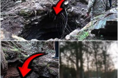 The Terrifying Discovery in the West Virginia Woods: What Lies Beneath?