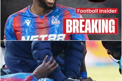 “‘No Friends’ War at Crystal Palace: Zaha Brands Mateta ‘Disgusting’ After He Mocked His France Ambition”
