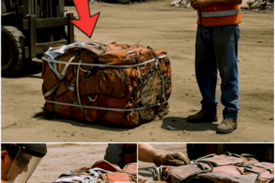 Scrap Dealer Bought Crushed Car Cube, The Item Hidden Inside Made Him Call 911…