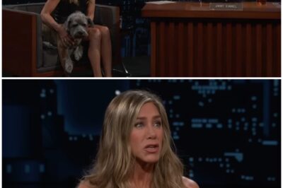 Unveiling the Truth: Jennifer Aniston’s Shocking Confessions and the Wild Rumors Surrounding Her Life