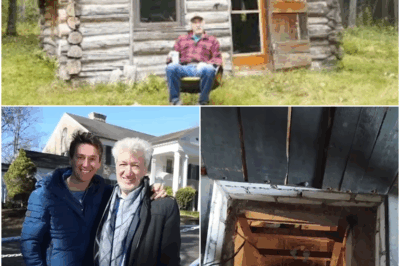 They All Laughed at Him for Inheriting the Old Cabin: A Tale of Regret and Redemption