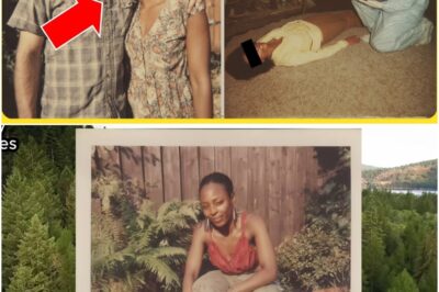 The House of Missing Memories: How a Woman Died Surrounded by Cameras—And Why All the Footage Vanished