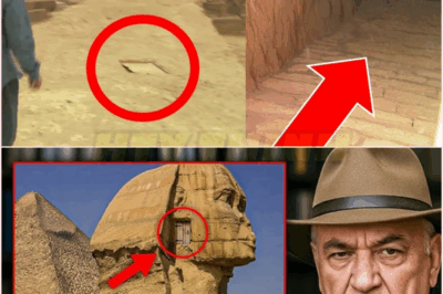 🧿 Before I Die, I Need To Tell The Truth — Zahi Hawass Unveils Shocking Secrets Hidden Beneath the Sphinx That Could Rewrite Ancient History, Spark Global Outrage, and Expose a Century-Long Archaeological Cover-Up! 🏺⚠️🔥