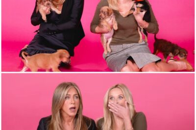 Unleashing Laughter: The Hilarious Puppy Interview with Jennifer Aniston and Reese Witherspoon