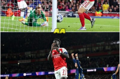 Arsenal vs Atletico Madrid – Champions League LIVE: The Night London Roared Again