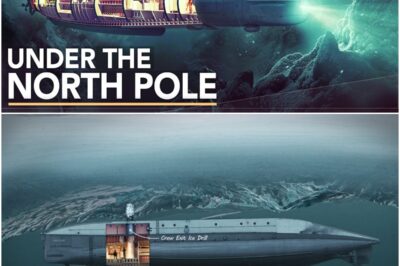 The Mysterious Journey of the Nautilus: A Quest for the North Pole