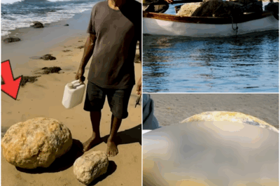 Fisherman Found Foul-Smelling Stones on Beach, Gut Told Him to Break One Open…