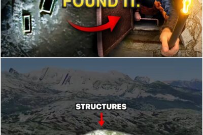 They Tried to Hide This Place Forever