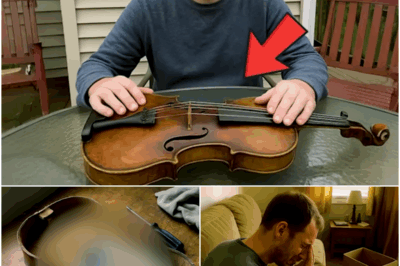 Man Noticed Hollow Sound in Grandpa’s Violin, Broke It Open and Burst Into Tears!