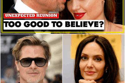 Brad & Angelina Back Together?! A Reunion No One Expected