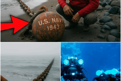 Fisherman Found a WWII Buoy. The Chain Led Somewhere Unbelievable