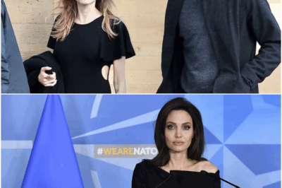 Angelina Jolie Spotted on Lunch Outing with Billionaire Environmentalist David Mayer de Rothschild