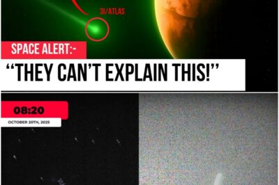 The Enigmatic Journey of Comet 3I/ATLAS: A Tale of Cosmic Curiosity