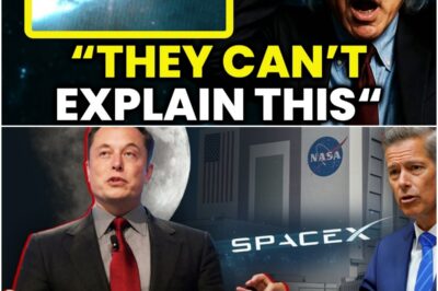 The Mysterious Interstellar Visitor: 3I/ATLAS