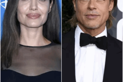 Angelina Jolie Must Produce Years’ Worth of NDAs, Judge Rules in Brad Pitt Winery Court Case