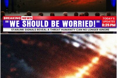 The Disturbing Warning from Elon Musk