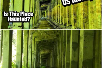 The Haunting History of Wellington, Washington