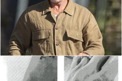 😼💔 Hollywood Turns Its Back on Brad Pitt: The Shocking Reason Behind His Sudden Isolation Leaves Fans Heartbroken 😱👇