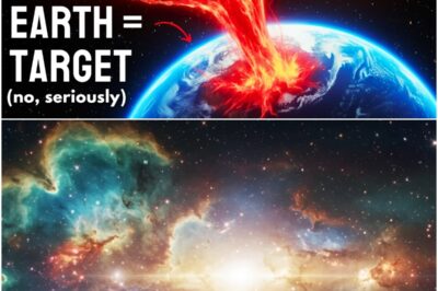 The Day The Internet Went Dark And The Sky Went Silent