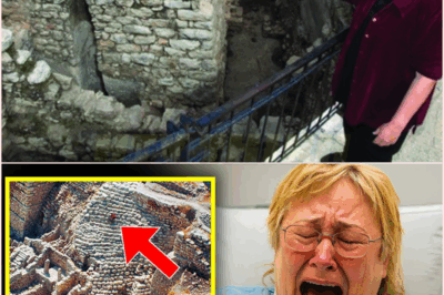 🧿 Before I Die, I Need To Tell The Truth — Eilat Mazar Reveals Shocking Discoveries in the Palace of David That Could Rewrite Biblical History Forever! 🏰📜🔥