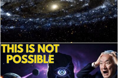 The Eye That Watched the Sun