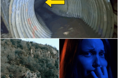 Hikers Discover Hidden Tunnel In Cave – They Turn Pale After Seeing What’s Inside