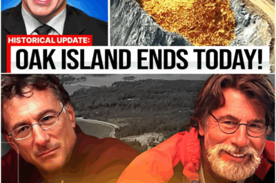 History Channel Just Confirmed The Oak Island Treasure Has Been Found!