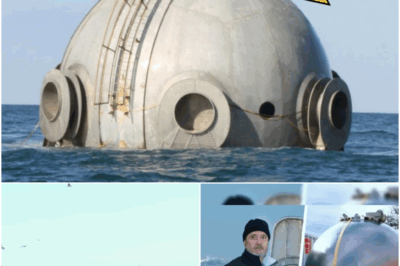 Fisherman Finds Odd Object In The Sea – Expert Turns Pale When He Sees It