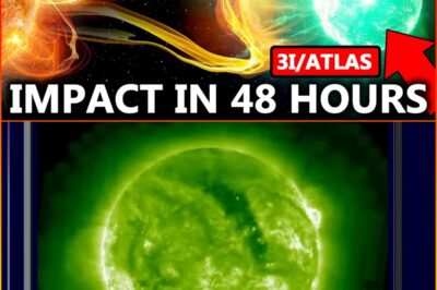 The Cosmic Event: A Journey Through the Solar Storm