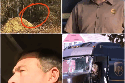 UPS delivery driver sees something strange in woods, immediately jumps out truck and runs