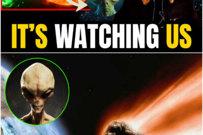 FINAL WARNING!! Elon Musk CONFIRMS Leaked Alien Transmission — “They Are Coming for Humanity… And We Won’t Survive Past 2027!”