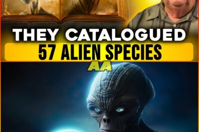 The Hidden Truth of Alien Life: A Journey into Military Secrets