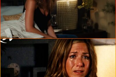 The Break-Up: A Tale of Love, Laughter, and Heartbreak