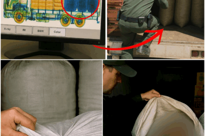 Border Agent Spotted Unusual Shape on X-Ray, Gut Told Him to Investigate…