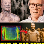 collage