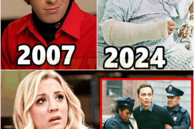 collage