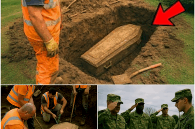 Worker Unearthed Vintage Coffin in Backyard, But Inside Wasn’t a Human…