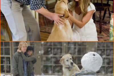 17 Years Ago, Jennifer Aniston’s Movie Catfished Audiences With Comedy Vibes — Then Left Everyone Emotionally Wrecked