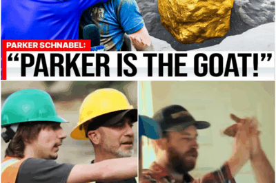 Parker Schnabel Hits $78M Gold Jackpot In Alaskan Shaft